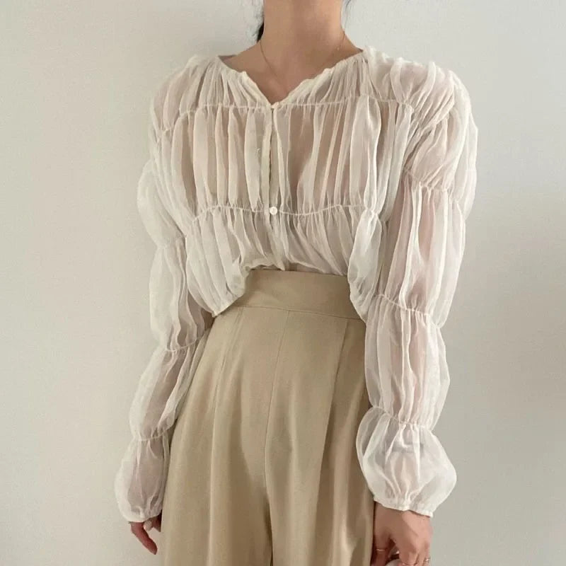 Loose Fit Chiffon Blouse for Women Pleated Sheer Long Sleeve Casual Summer Top with Elegant Folded Design