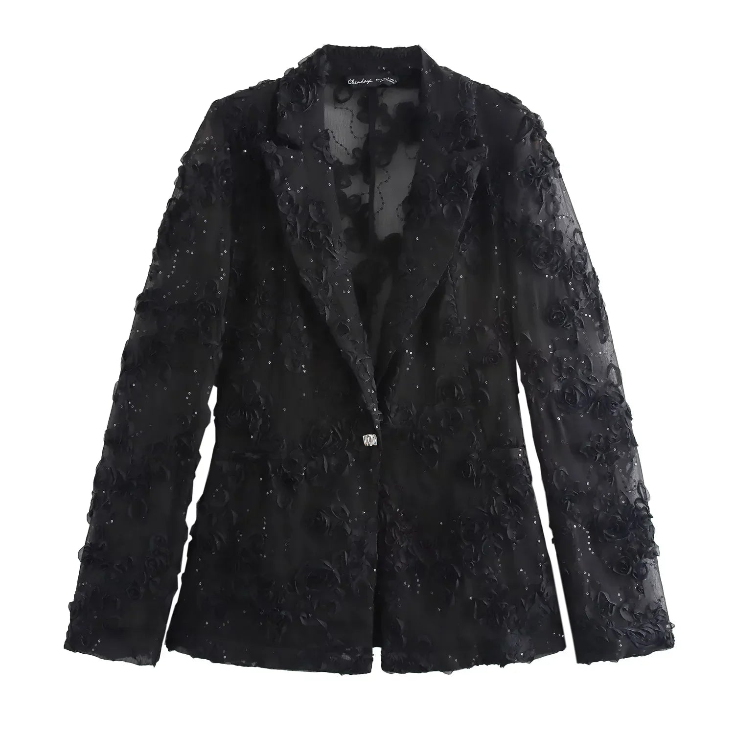 Sequin Two Piece Set for Women with Translucent Blazer Coat and Elegant Pants Stylish Party Outfit