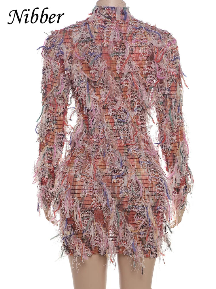 Crochet See Through Bodycon Dress With Colorful Tassels