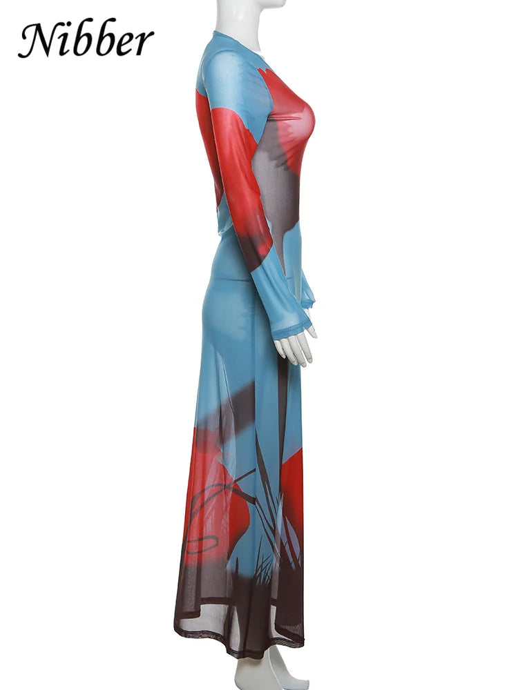 See Through Mesh Maxi Dress Women Long Sleeve Bodycon