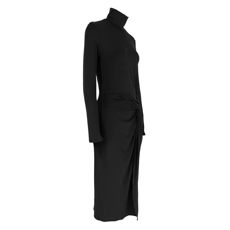 Autumn Long Sleeve Turtleneck Maxi Dress For Women Chic