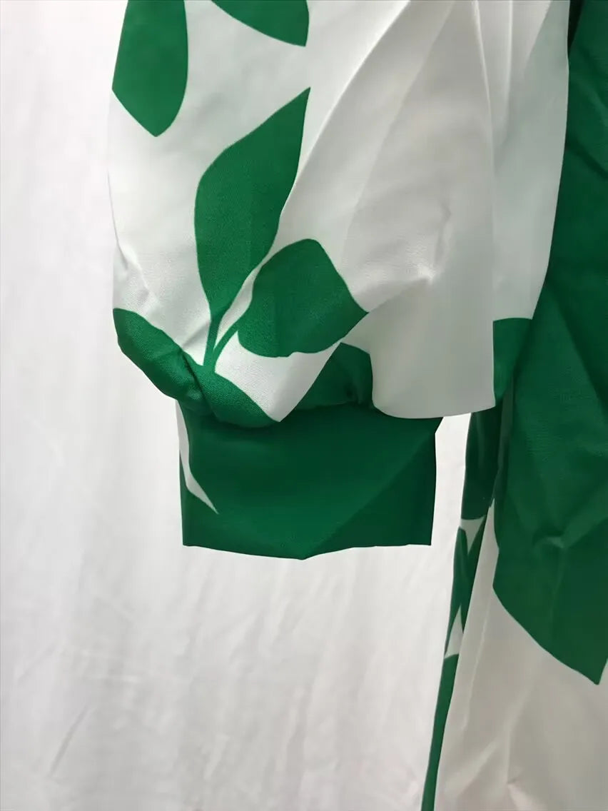 Printed Womens V Neck Lantern Sleeve Long Evening Dress