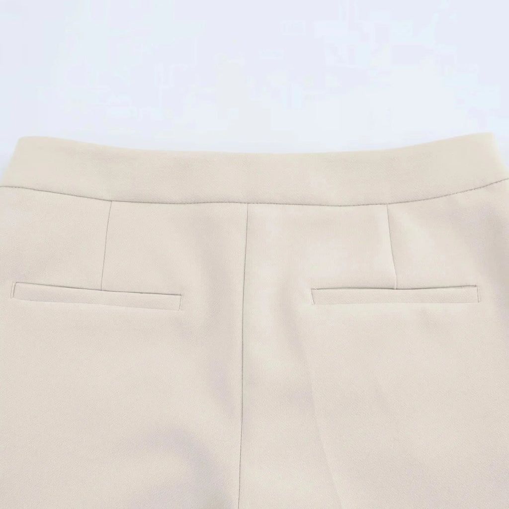 Elegant Women Blazer And Pants Suit For Office Wear