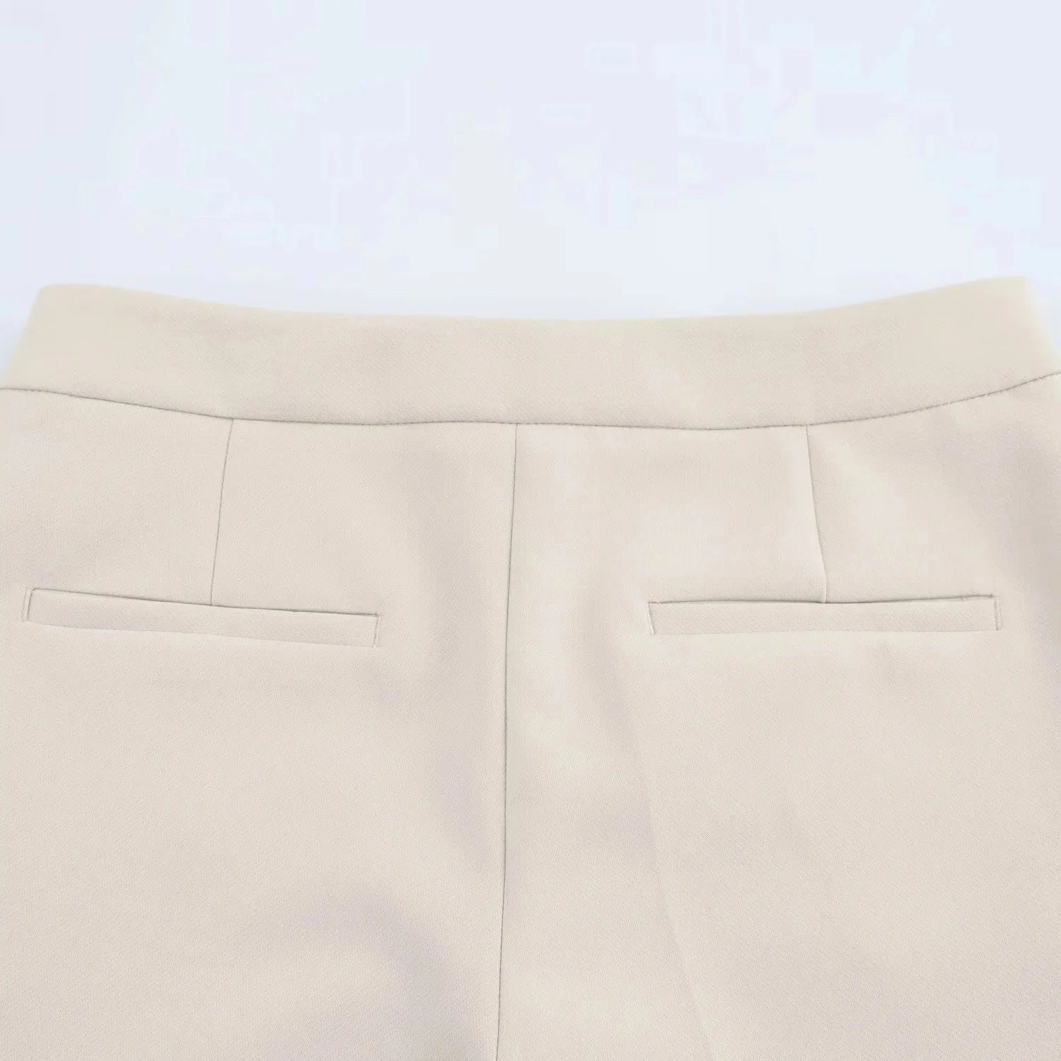 Elegant Women Blazer And Pants Suit For Office Wear