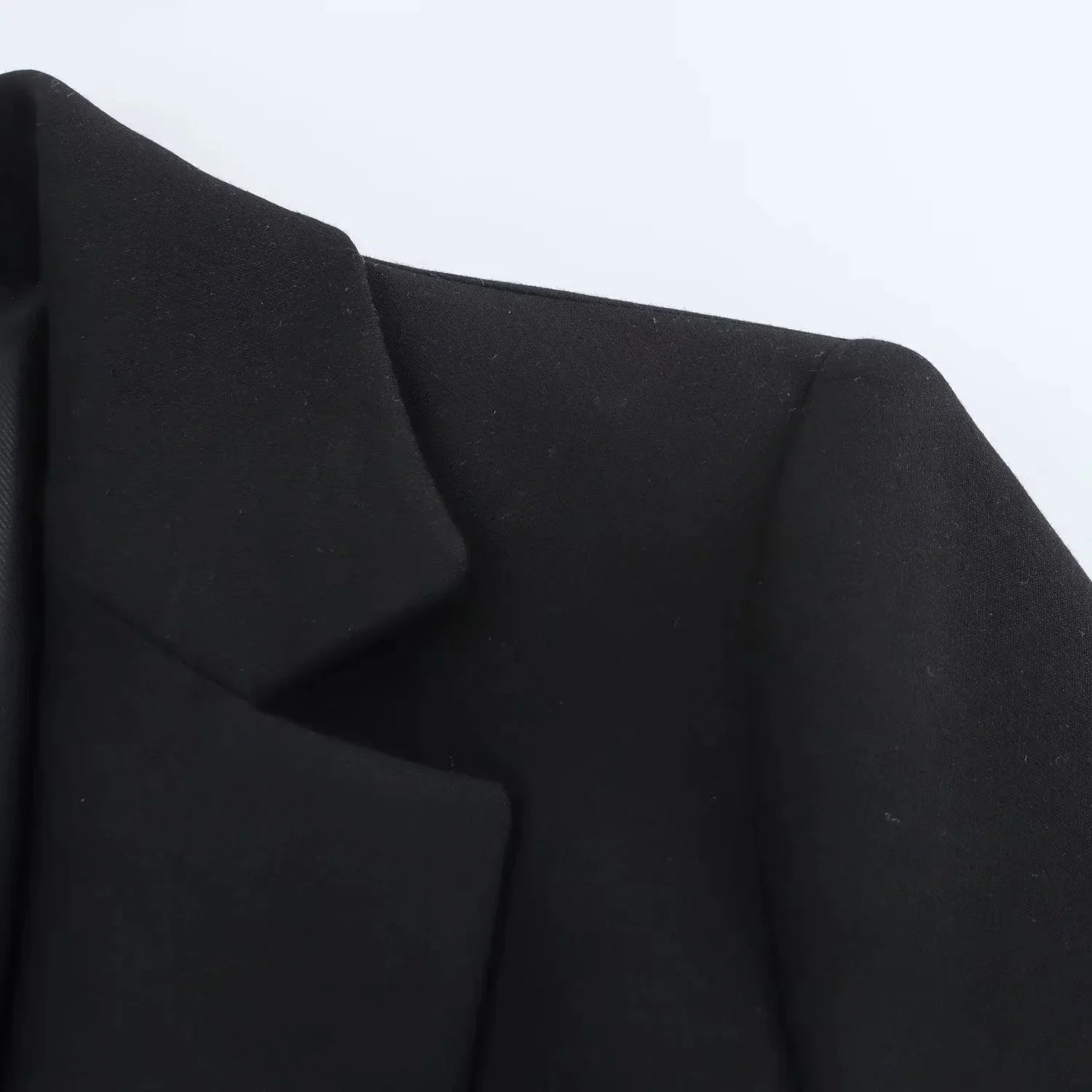 Elegant Women Blazer And Pants Suit For Office Wear