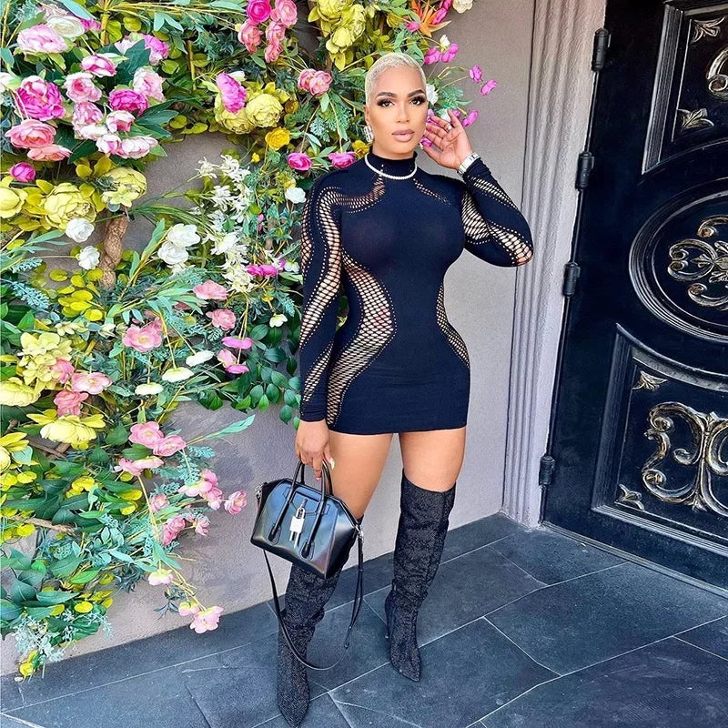 Sexy Hollow Out Mesh Long Sleeve Bodycon Mini Dress