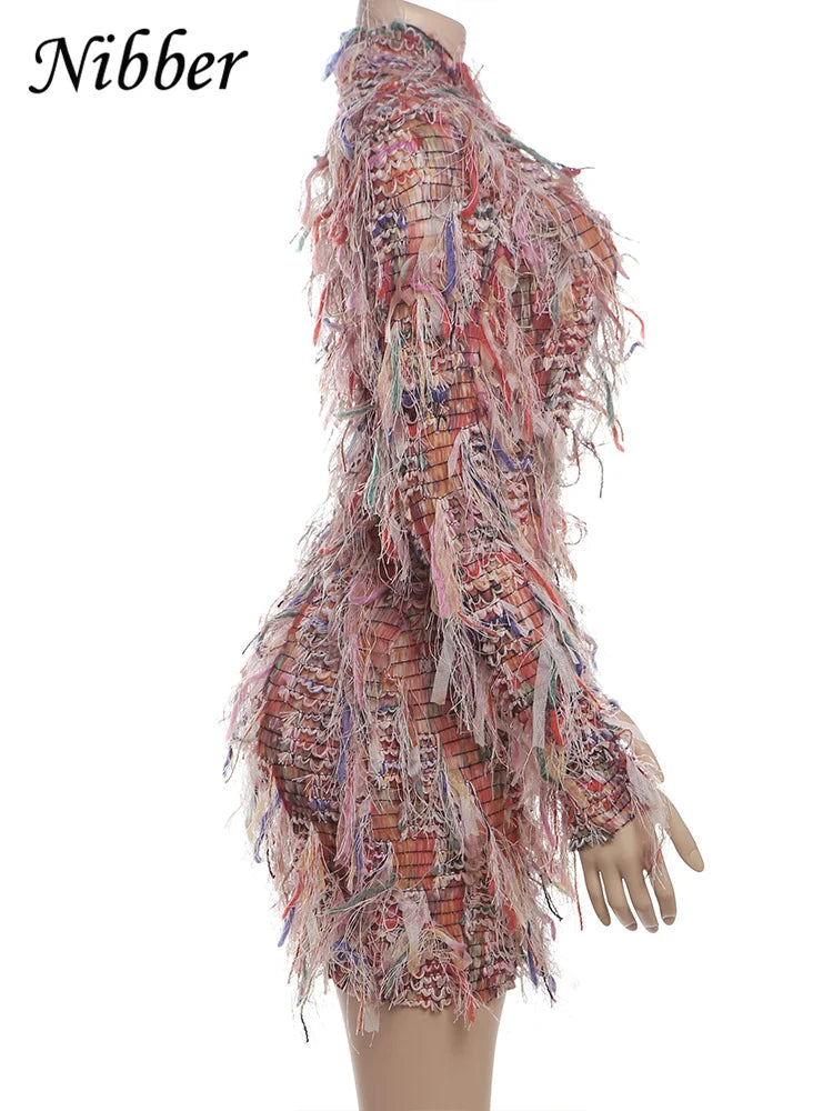 Crochet See Through Bodycon Dress With Colorful Tassels