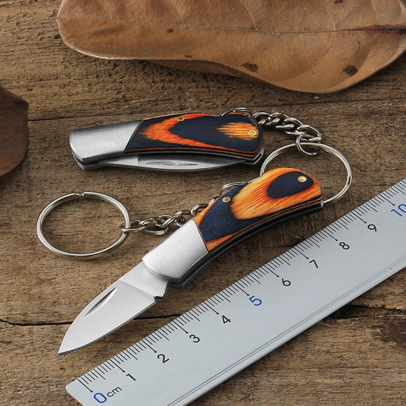 Portable Folding Pocket Knife with Keychain and Stainless Steel Blade for Camping and Outdoor Survival Gifts