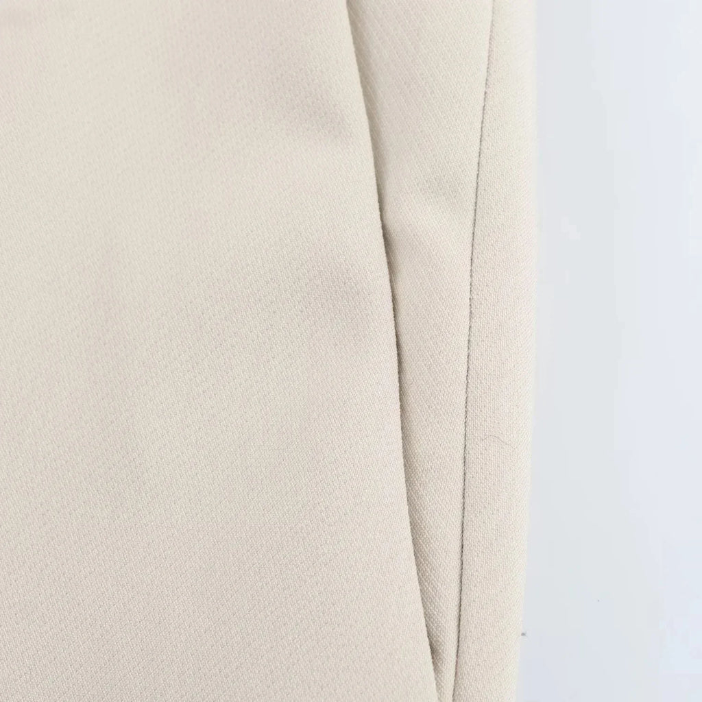 Elegant Women Blazer And Pants Suit For Office Wear