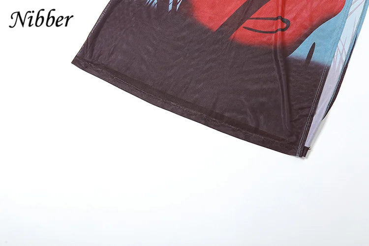 See Through Mesh Maxi Dress Women Long Sleeve Bodycon