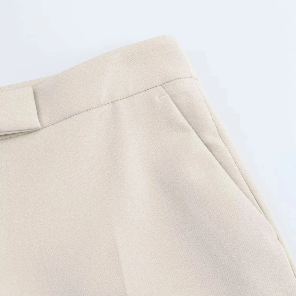 Elegant Women Blazer And Pants Suit For Office Wear