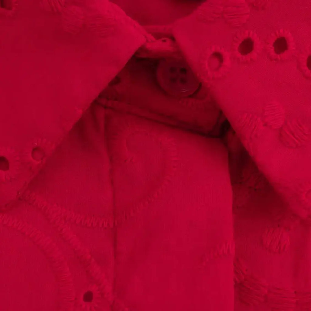 Women Casual Embroidered Hollow Single Breasted Lapel Shirt Top Long Sleeve Curved Hem Loose Fit Blouse