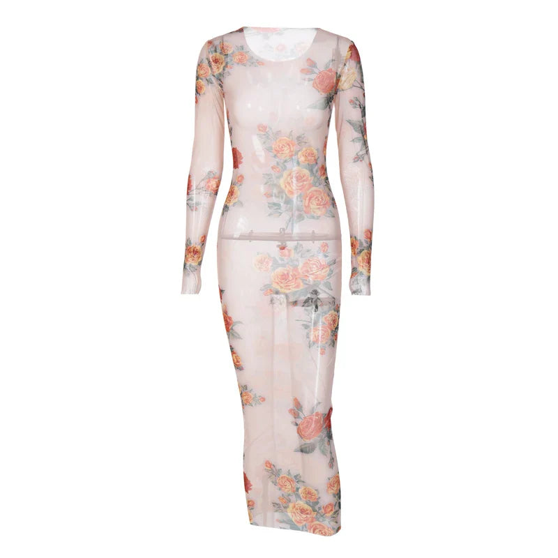 Sheer Mesh Floral Maxi Dress Long Sleeve Beachwear