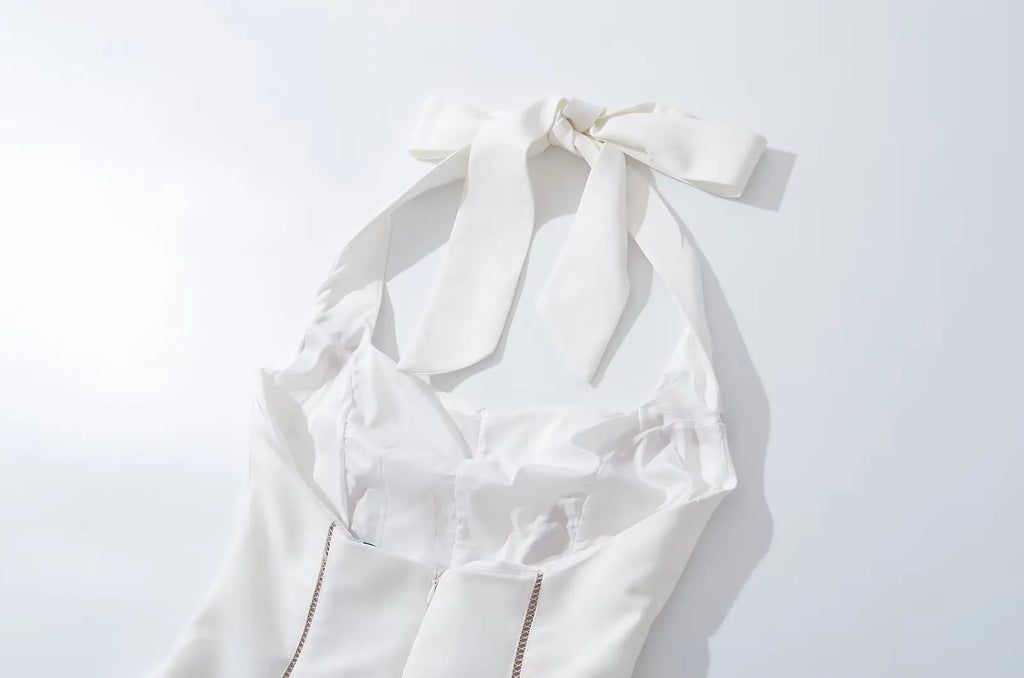 Elegant Halter Neck Backless Mesh Dress For Evening