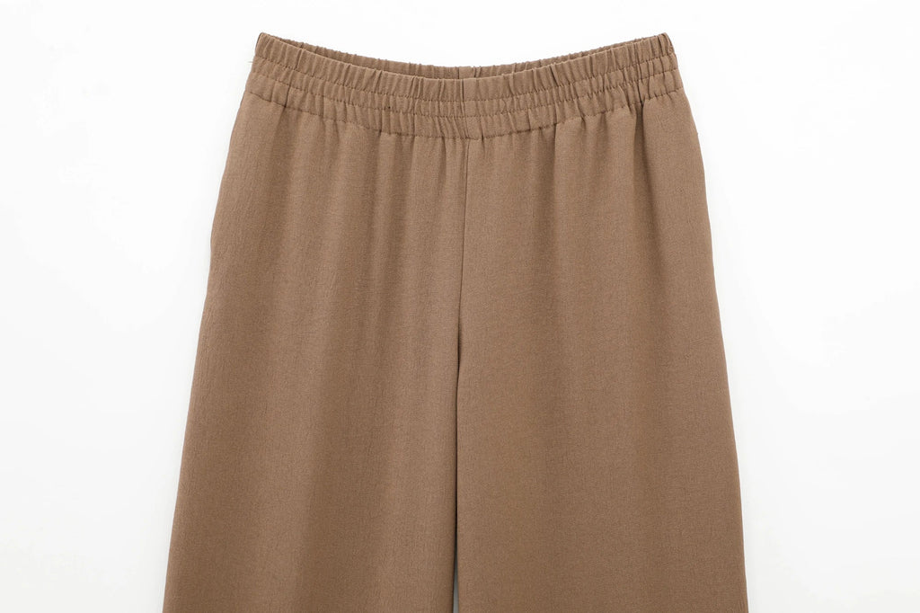 Women Casual Brown Lace-Up Waist Shirt and High Waist Wide Leg Pants Set for Spring Fashion