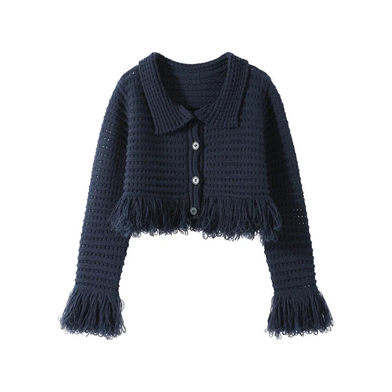 Women's Knit Tassel Cardigan and Hollow Out Single Breasted A-line Mini Skirt Set Stylish Spring Outfit