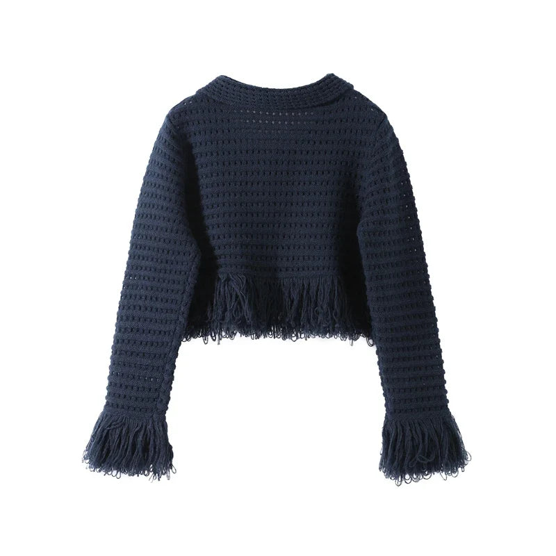 Women's Knit Tassel Cardigan and Hollow Out Single Breasted A-line Mini Skirt Set Stylish Spring Outfit