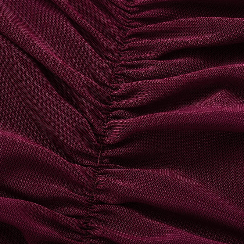 Chic Cross Neck Mesh Crop Top with Pleated Long Sleeves Sheer Sexy Solid Color Elegant T-Shirt for Women Casual Wear