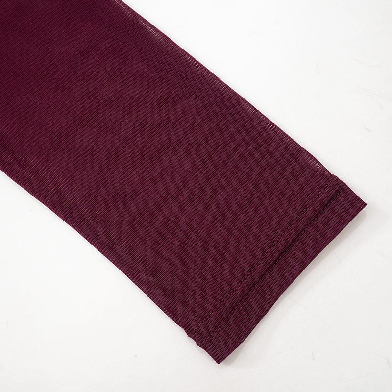 Chic Cross Neck Mesh Crop Top with Pleated Long Sleeves Sheer Sexy Solid Color Elegant T-Shirt for Women Casual Wear