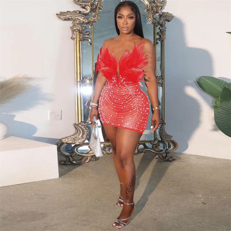 Elegant Backless Diamond Sheer Mesh Bodycon Dress with Feathers and Rhinestones for Nightlife and Celebrations