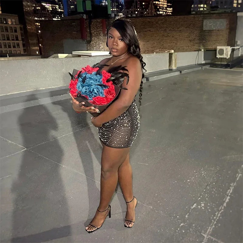 Elegant Backless Diamond Sheer Mesh Bodycon Dress with Feathers and Rhinestones for Nightlife and Celebrations