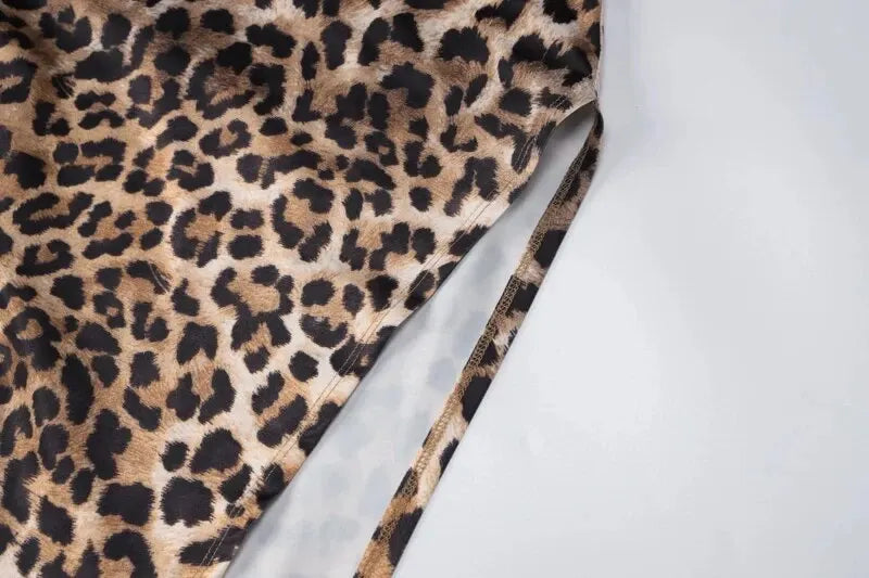 Sexy Leopard Bodycon Evening Dress for Women Stylish Party Club Wear Long Sleeve Summer Outfit