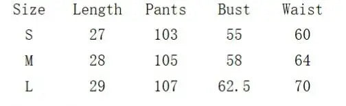 Sexy Lace Mesh Sleeveless Backless Two Piece Set Slim Fit Nightclub Outfit for Women