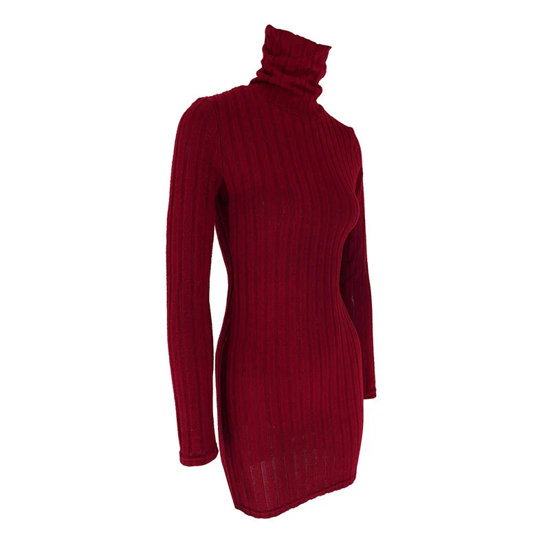 Elegant Autumn Winter Long Sleeve Turtleneck Mini Dress for Women Casual Slim Fit Streetwear Fashion