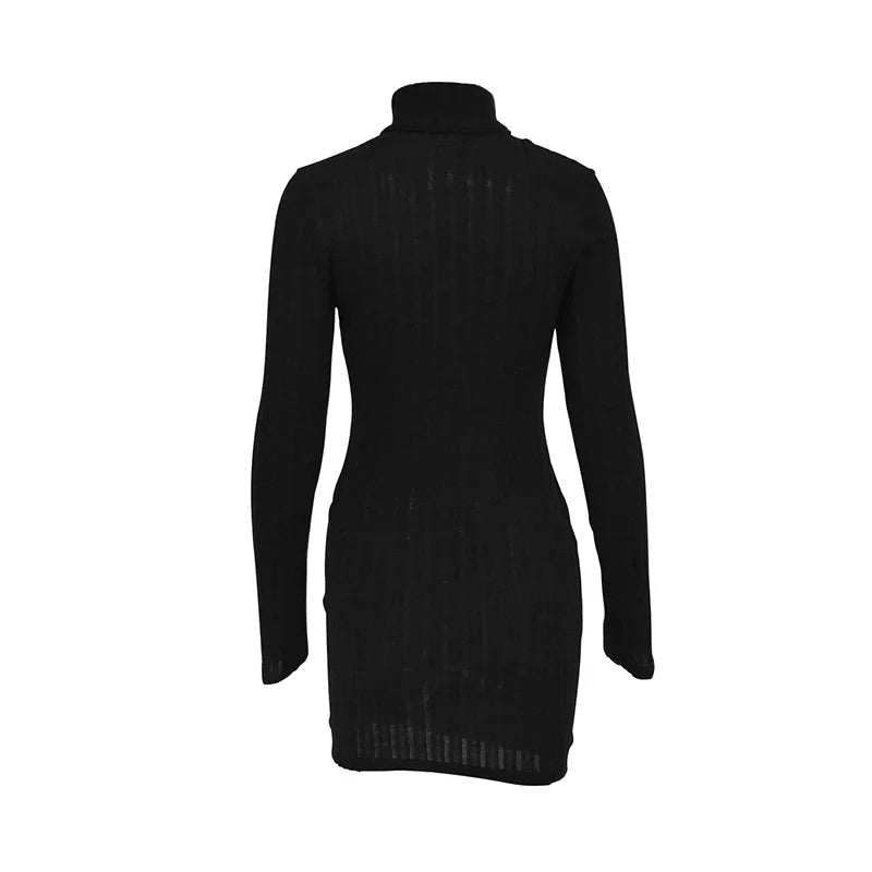 Elegant Autumn Winter Long Sleeve Turtleneck Mini Dress for Women Casual Slim Fit Streetwear Fashion