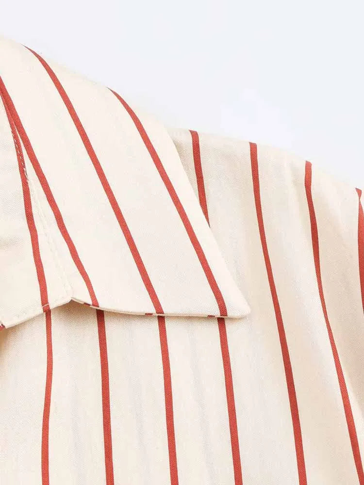 Women's Spring Long Sleeve Dress with Lapel Collar Belt and Pockets in Striped Print