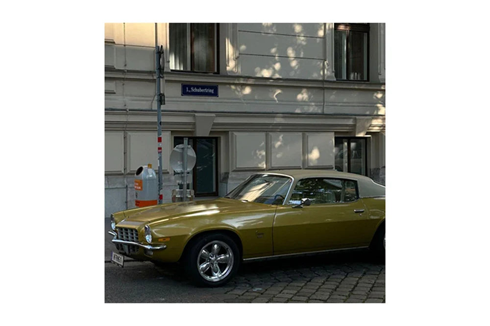 Elegant Embroidery Splicing Dress for Women with Long Sleeves and Round Neck, Casual Loose Fit Short Dress for Commuter and Holiday Wear